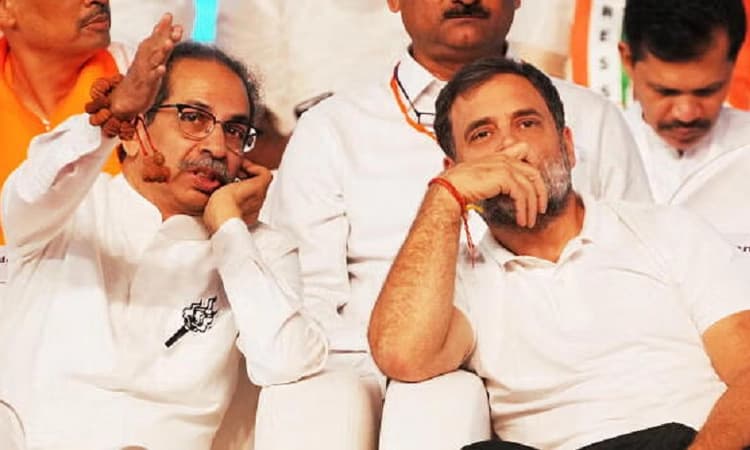 Rift growing in MVA? Shiv Sena (UBT) to contest Maharashtra local bodies polls solo