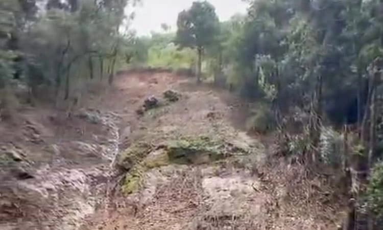 Massive landslide reported in dense forest along Kodagu–Kerala border near Virajpet