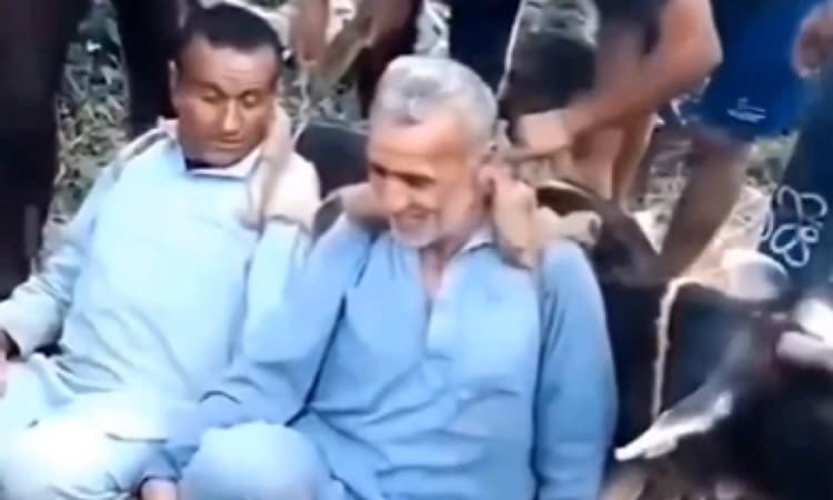 Viral: Two men carry 200-kg sick cow on their backs for 3 km to reach hospital