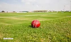 South Africa opt to bowl in 2nd ODI against India