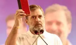 IndiGo fiasco is cost of govt's monopoly model: Rahul