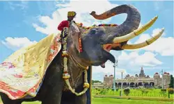 Mysuru Dasara: Karnataka government plans to assign responsibilities to 22 ministers