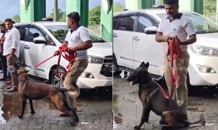 Dharmasthala mass burial: Sniffer dog squad deployed after no human remains found despite JCB excavation