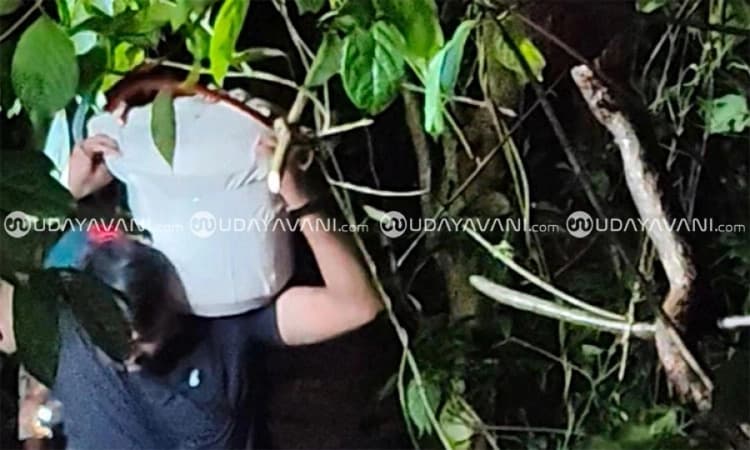 Exumation resumes at ninth site in Dharmasthala mass burial prob