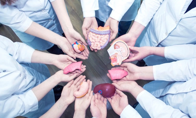Over 5,000 patients in Karnataka await organ transplants