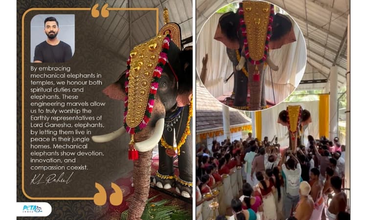 Cricketer KL Rahul, PETA India donate life-size mechanical elephant to Kerala temple
