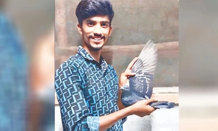 Mandya: Pigeon flies 1,790 km from Delhi to find its owner