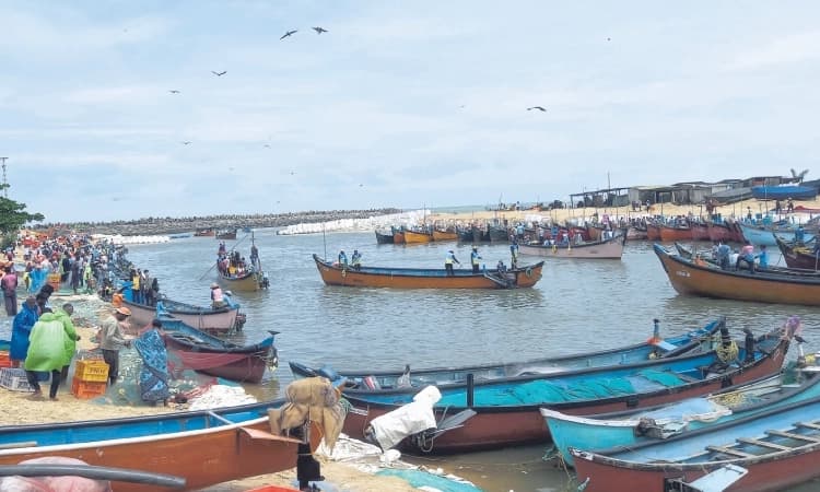 Fishing resumes at Maravanthe port after monsoon break; local market sees arrival of fresh catch