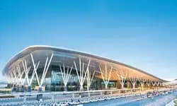 Passenger held with two endangered monkeys at Bengaluru airport