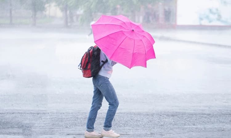 Heavy rains lash Dakshina Kannada; red alert for coastal Karnataka