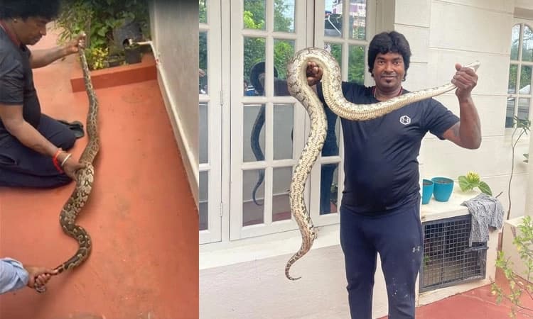 Shimoga: Snake spotted in car; rescued & released into a forest area