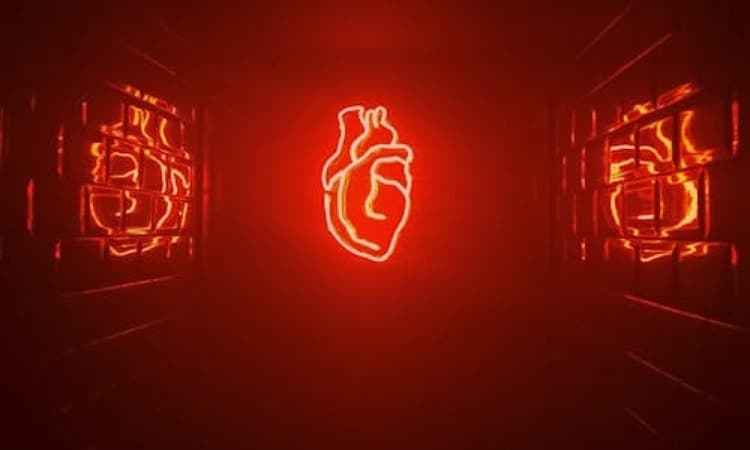 Lifestyle changes, stress management key to preventing heart attacks: Karnataka minister