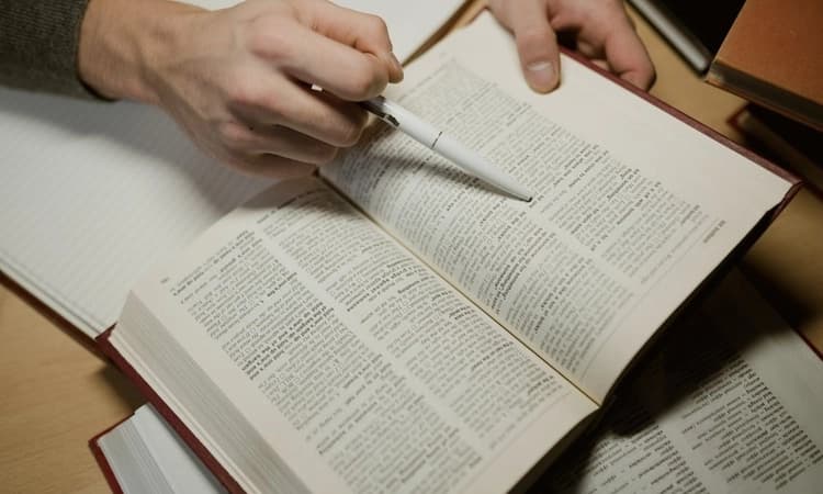 Cambridge Dictionary adds 'skibidi', 'tradwife' among 6,000 new words