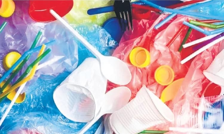 Karkala: Local bodies turn blind eye to plastic ban