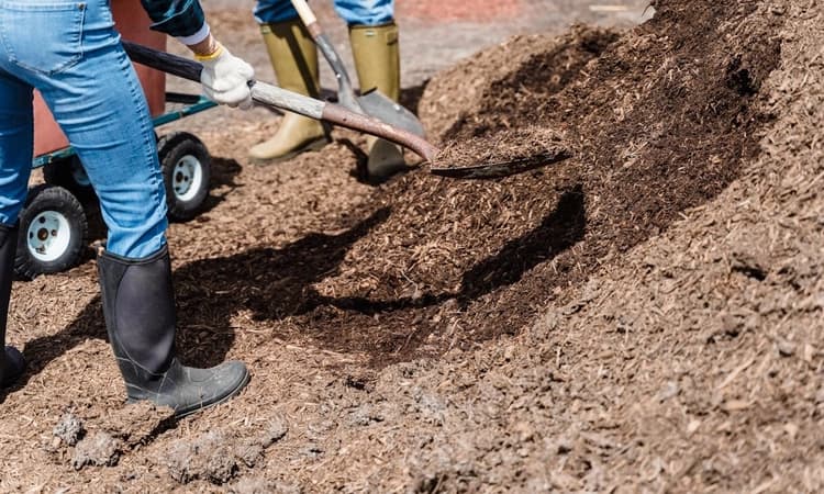Karnataka farmer's ingenious tweak to cow-dung composting bags award