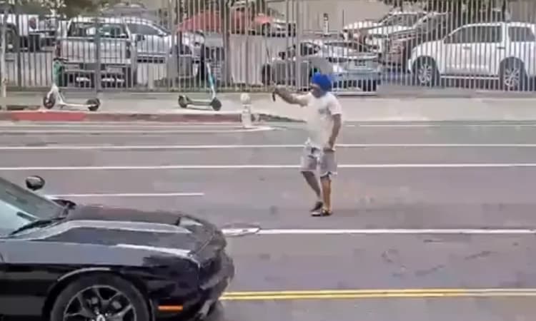 Sikh man, waving machete on LA street, fatally shot by police