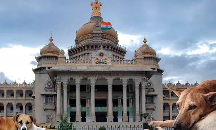 Separate shelter planned for stray dogs inside Vidhana Soudha premises