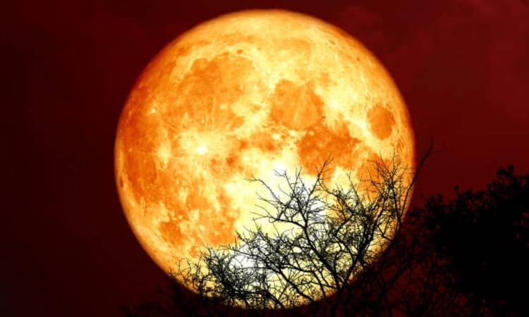 'Blood Moon': Total lunar eclipse enthrals skywatchers; clouds play spoilsport