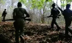 12 Maoists with Rs 46 lakh bounty surrender in Chhattisgarh's Bijapur