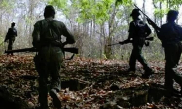 Four Naxals killed in encounter near Maharashtra-Chhattisgarh border