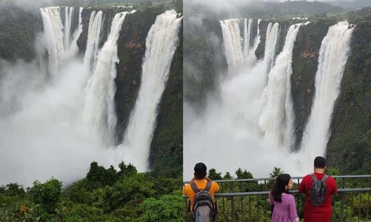 Jog Falls: Linganamakki reservoir full, Jog plunges in full glory