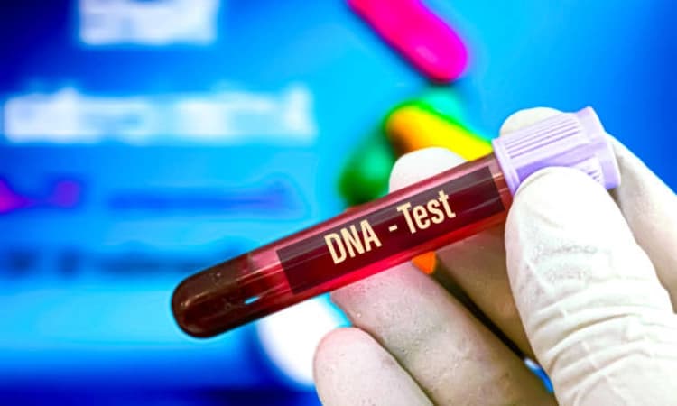 DNA test of child in face of mother's admission an insult to her motherhood: HC