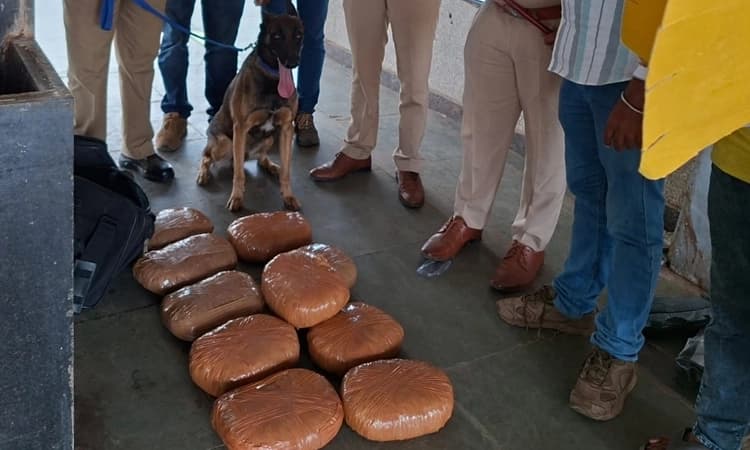 RPF seizes ganja worth Rs 11 lakh left in anonymous bag at railway station