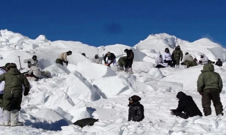 Avalanche strikes Siachen base camp in Ladakh; three soldiers killed