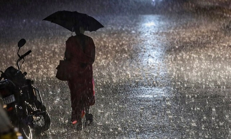 ಉಡುಪಿ,ದ.ಕ. ಜಿಲ್ಲೆಯ ಪುತ್ತೂರು,ಮೂಲ್ಕಿ,ಮೂಡಬಿದಿರೆ,ಮಂಗಳೂರು,ಉಳ್ಳಾಲ,ಬಂಟ್ವಾಳ ತಾಲೂಕಿಗೆ ರಜೆ