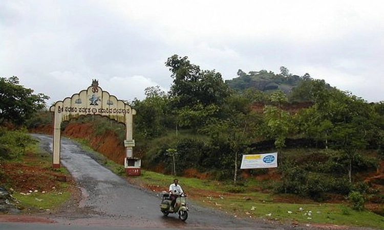 ಬಂಟ್ವಾಳ: ನರಹರಿ ಪರ್ವತದ ದೈವೀವನಕ್ಕೆ ದೇವರೇ ದಿಕ್ಕು!