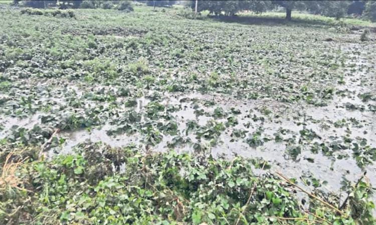 ಅನ್ನದಾತನ ಬದುಕು ತತ್ತರಗೊಳಿಸಿದ 'ಮಘಾ'