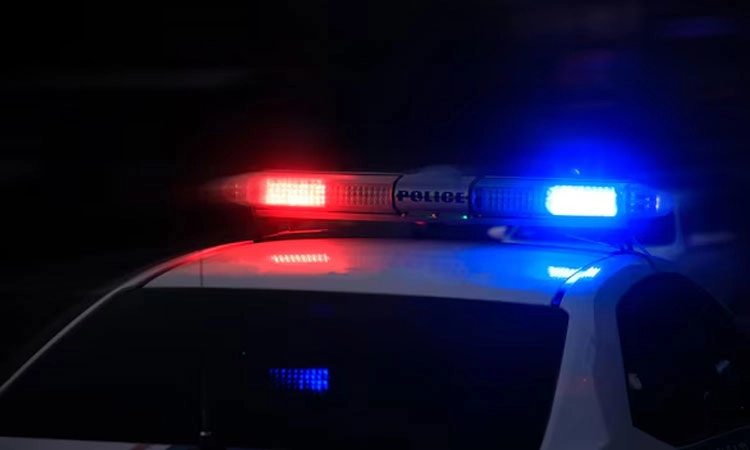 Punjalkatte: ಧ್ವನಿವರ್ಧಕ ಬಳಕೆ; ಗಣೇಶೋತ್ಸವ ಸಮಿತಿಯ ವಿರುದ್ಧ ಪ್ರಕರಣ ದಾಖಲು