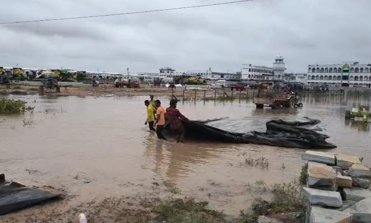 Wadi: ಹಳ್ಳ ಉಕ್ಕಿ ನೀರಿನಲ್ಲಿ ಕೊಚ್ಚಿಹೋದ ಹೆಸರು; ರೈತರು ಕಂಗಾಲು