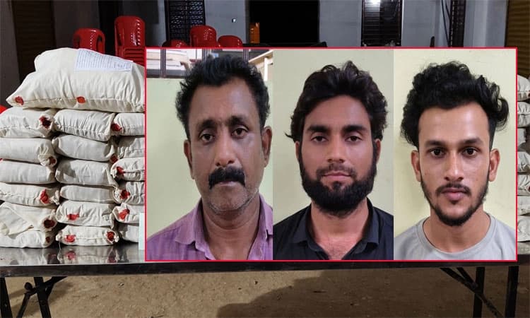 Mangaluru: ಸಿಸಿಬಿ ಪೊಲೀಸರಿಂದ 123 ಕೆಜಿ ಗಾಂಜಾ ಸಹಿತ ಮೂವರ ಬಂಧನ