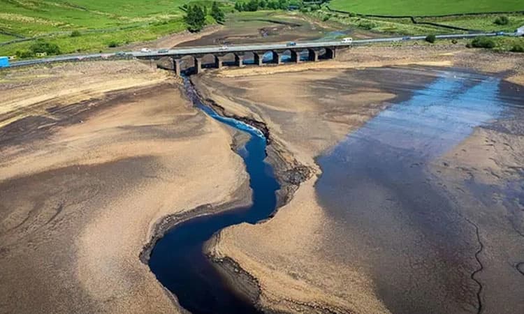 Save Water: ನೀರು ಉಳಿಸೋಕೆ ಡೇಟಾ ಡಿಲೀಟ್‌!
