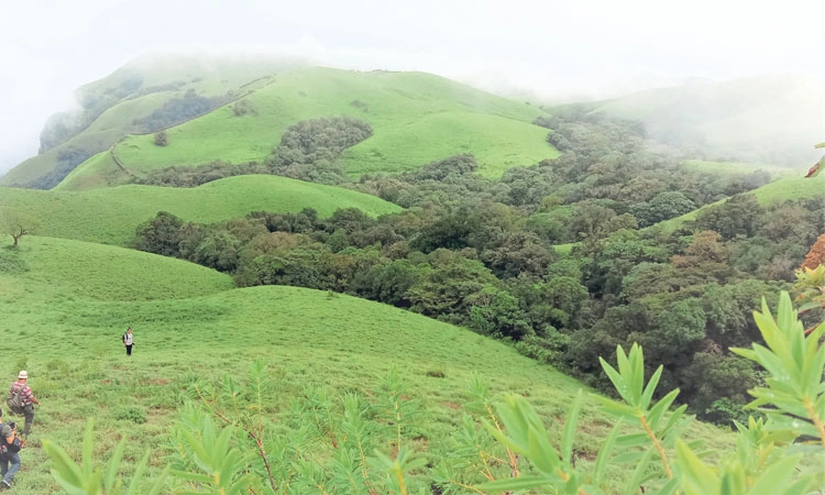 "ಪಶ್ಚಿಮಘಟ್ಟ'ದ ಸಂಶೋಧನೆಗೆ ಮಂಗಳೂರಿನಲ್ಲಿ ಸೆಂಟರ್‌!