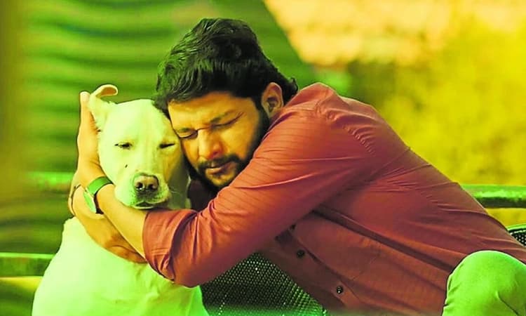  Naanu Matthu Gunda 2 Review: ಜನ್ಮ ಜನ್ಮಾಂತರದ ಭಾವ-ಬಂಧ