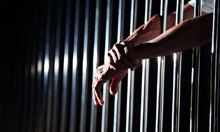 Puttur: ಕಳವು ಪ್ರಕರಣದ ಆರೋಪಿಗೆ ಜೈಲು ಶಿಕ್ಷೆ