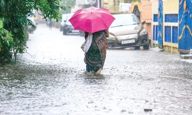 Rain: ಕರಾವಳಿ ಸೇರಿದಂತೆ ವಿವಿಧೆಡೆ ಸಾಧಾರಣ ಮಳೆ