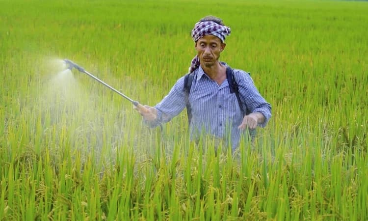 ಮಧ್ಯ ಪ್ರದೇಶದಲ್ಲೂ ಗೊಬ್ಬರ  ಕೊರತೆ: 500 ರೈತರನ್ನು ಬಂಧಿಸಿದ ಪೊಲೀಸರು