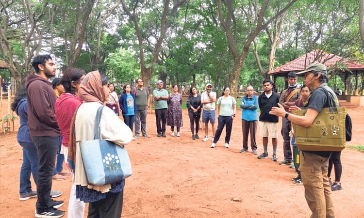 ಕಬ್ಬನ್‌ ಪ್ರಕೃತಿ ನಡಿಗೆಗೆ ಕನ್ನಡಿಗರಿಗೆ ಇಲ್ಲ ಆಸಕ್ತಿ