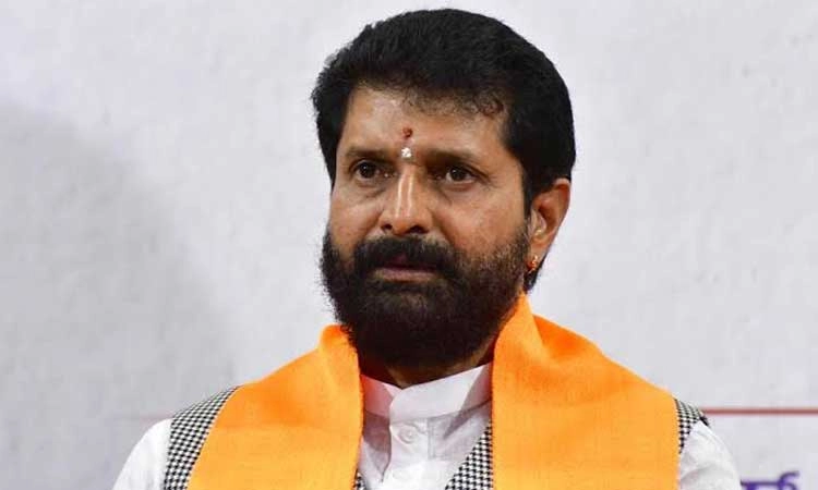 ಮದ್ದೂರು ಗಣಪತಿ ವಿಸರ್ಜನೆ ವೇಳೆ ಕಲ್ಲು ತೂರಾಟ: ಇದು ಶಾಂತಿದೂತರು ಮಾಡುವ ಕೆಲಸವೇ: C.T Ravi