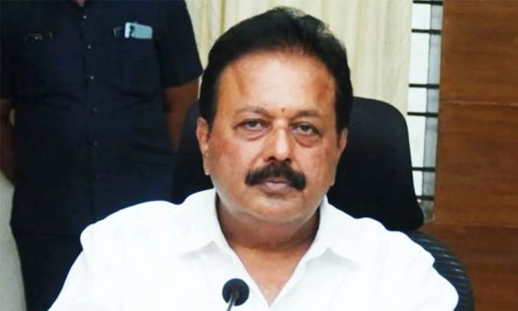 ಮದ್ದೂರು ಪ್ರಕರಣ; ಯಾವುದೇ ಹಿಂದೂ ಕಾರ್ಯಕರ್ತರ ಬಂಧಿಸಿಲ್ಲ: ಚಲುವರಾಯಸ್ವಾಮಿ