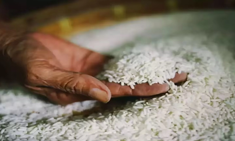 Yadagiri: 25 ವಿವಿಧ ಹೆಸರಿನ ಅಕ್ಕಿ ಪ್ಯಾಕೇಟ್ ನಲ್ಲಿ ಅಕ್ರಮವಾಗಿ ಪಡಿತರ ಅಕ್ಕಿ ಮಾರಾಟ