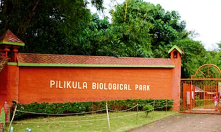 Pilikula: ವಿಷಪೂರಿತ ಮಾಂಸ ಬೆರೆಸಿ ಪ್ರಾಣಿಗಳನ್ನು ಕೊಲ್ಲುವ ಹುನ್ನಾರ; ದೂರು