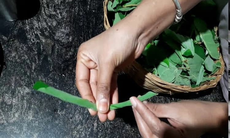 Health Tips: ಕೆಸುವಿನ ಸೇಟ್ಲ ಮತ್ತು ಹಲಸಿನ ಬೀಜದ ಗಸಿ ಭಾರೀ ರುಚಿ!