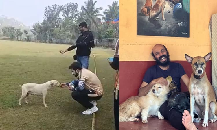 ಬೀದಿ ನಾಯಿಗಳ ಕುರಿತು ಸುಪ್ರೀಂ ಆದೇಶ: ದತ್ತು ಪಡೆಯುವ ಸಲಹೆ ಕೊಟ್ಟ ಕಿಚ್ಚ, ರಾಜ್‌ ಬಿ ಶೆಟ್ಟಿ