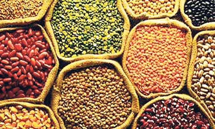 ದ್ವಿದಳ ಧಾನ್ಯಗಳ ಉತ್ಪಾದನೆ: ಅಗ್ರಸ್ಥಾನದಲ್ಲಿ ಭಾರತ