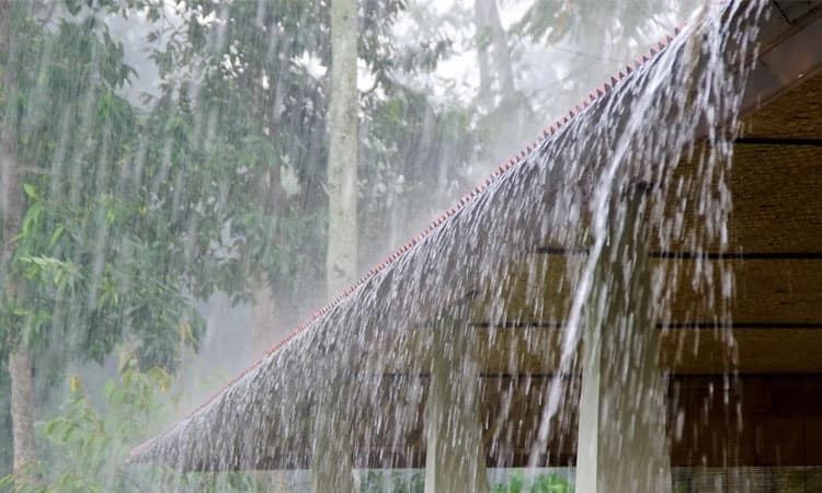 Mangaluru: ದಕ್ಷಿಣ ಕನ್ನಡ ಜಿಲ್ಲೆಯಾದ್ಯಂತ ಬಿರುಸಿನ ಮಳೆ