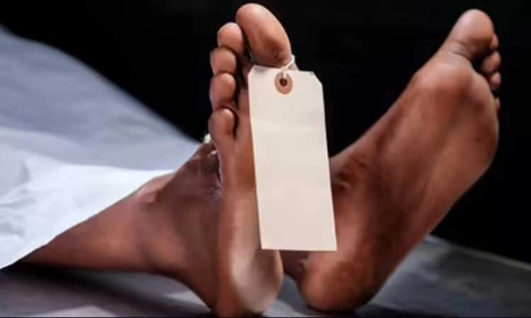 ಬ್ರಹ್ಮಾವರ: ಕಾರು ಢಿಕ್ಕಿಯಾಗಿ ಒಡಿಶಾ ಮೂಲದ ಕಾರ್ಮಿಕ ಸಾವು